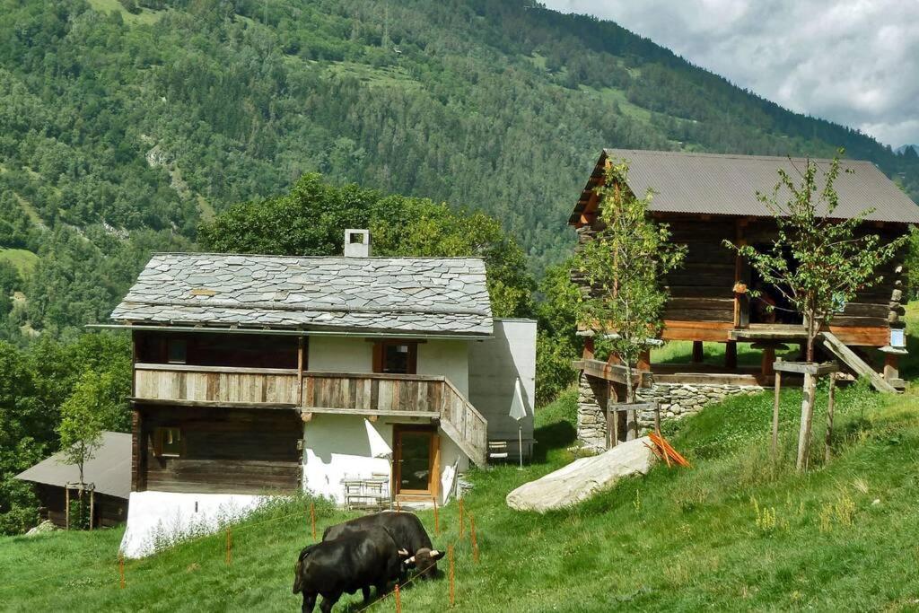 Appartement "Le Ver Luisant" A Saint-Martin, Val D'Herens, Valais Εξωτερικό φωτογραφία